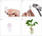 Wall-Mounted Glass Planters (2-Pack) - Simply Sorted