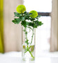 Wall-Mounted Glass Planters (2-Pack) - Simply Sorted