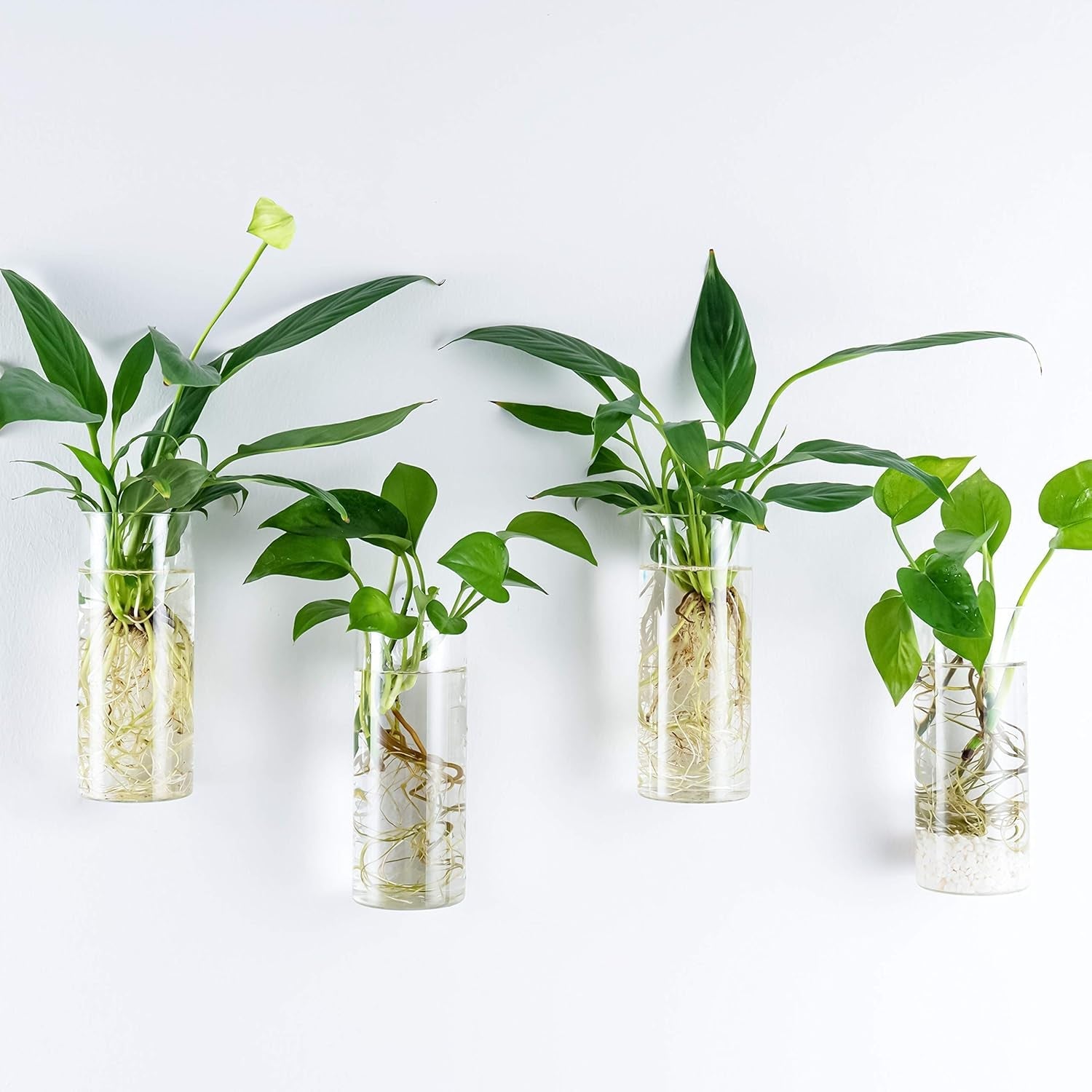 Wall-Mounted Glass Planters (2-Pack) - Simply Sorted