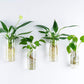 Wall-Mounted Glass Planters (2-Pack) - Simply Sorted