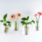 Wall-Mounted Glass Planters (2-Pack) - Simply Sorted