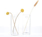 Wall-Mounted Glass Planters (2-Pack) - Simply Sorted